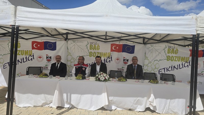 DİCLE BAĞBOZUMU ŞENLİĞİ