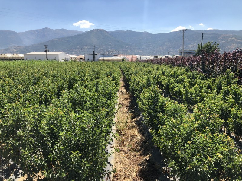 FAALİYET 2.1 YEG GENÇ ÇİFTÇİLERİMİZE  KOOPERATİFÇİLİĞİN ÖNEMİ EĞİTİMİ